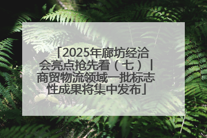 2025年廊坊经洽会亮点抢先看（七）丨商贸物流领域一批标志性成果将集中发布